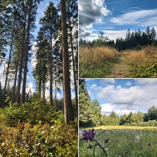 FB-Rodt-Wandertipp-Nr-4-(1).jpg FB-Rodt-Wandertipp-Nr-4-(1).jpg