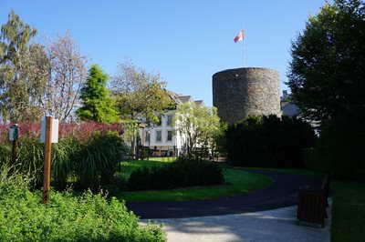 Buchelturm-II.jpg