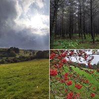 FB-Breitfeld-Wandertipp-Nr-5.jpg FB-Breitfeld-Wandertipp-Nr-5.jpg