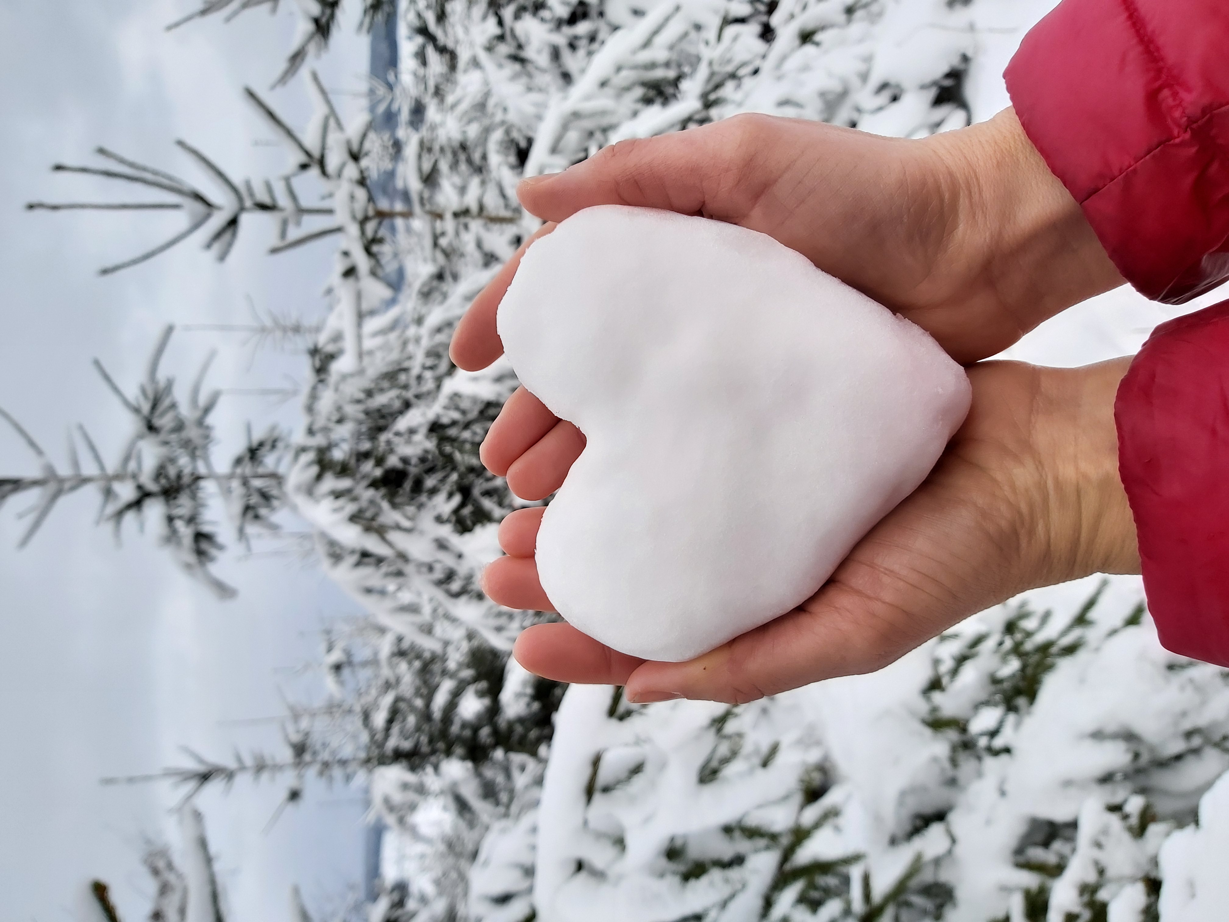 FB-Winter,-Herz.jpg