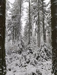 Wandertipp-Nr-8-Winterwanderung-c)sanktvithtouristinfo-bs.jpg